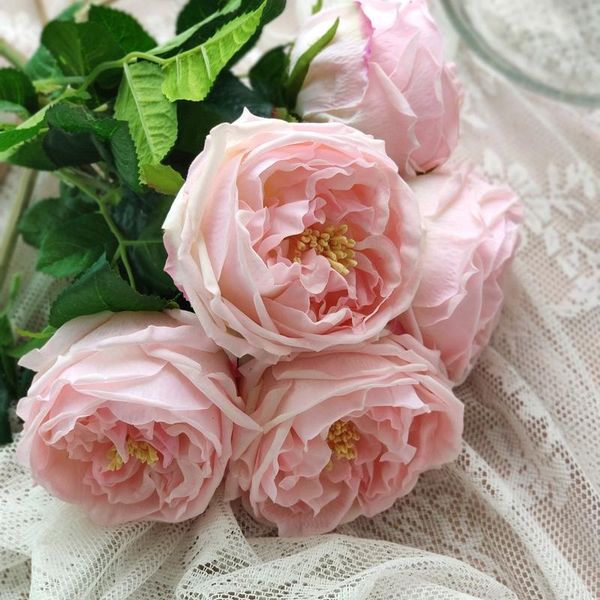 

decorative flowers & wreaths simulated flower garden rose feel lifelike home bottle model room decorated with champagne white