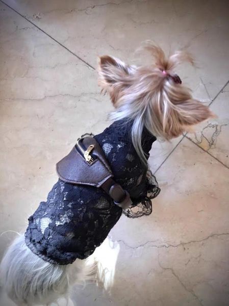 

style pet dog leather messenger bag crossbody bags backpack carrier for small dogs schnauzer yorkie pomeranian yhb07 car seat covers