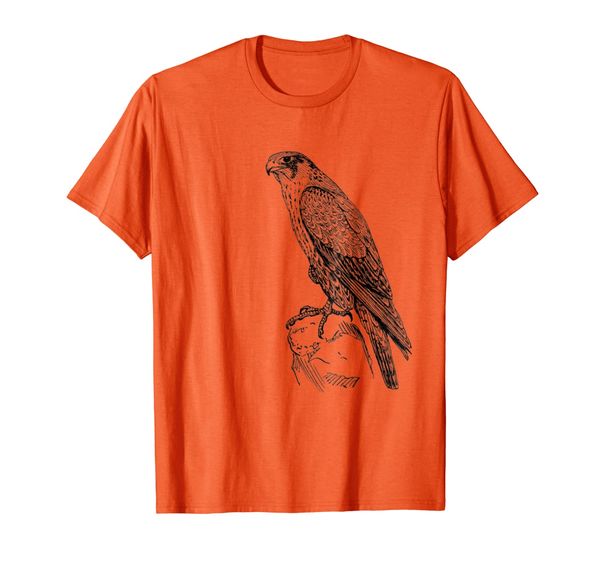 

peregrine Falcon T-shirt, Mainly pictures