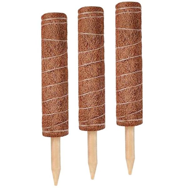

other garden supplies 3pcs plant climbing coir totem pole safe gardening coconut palm stick for support plants vines and creepers