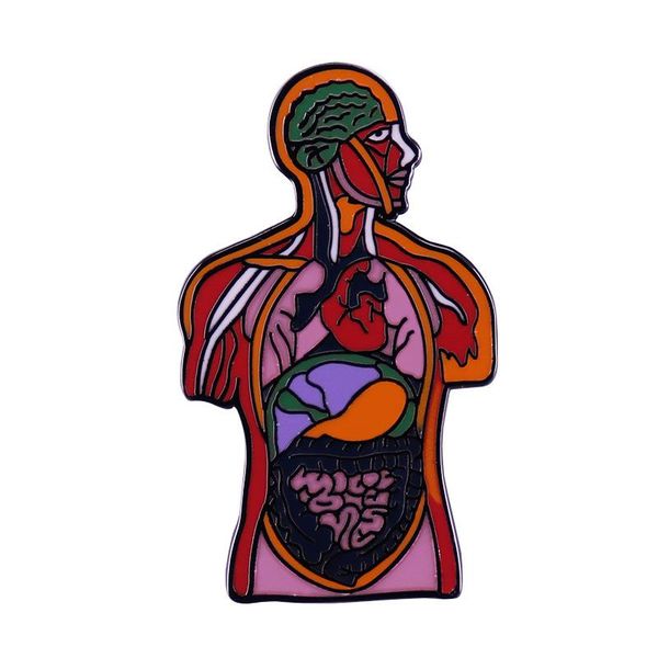 

pins, brooches human body system organ anatomical enamel pin sciences brooch health awareness badge, Gray