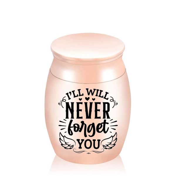 

angel wings cremation jewelry urn pendant for ashes keepsake aluminum alloy jar small ashes container five colors-i'll will never forge, Silver