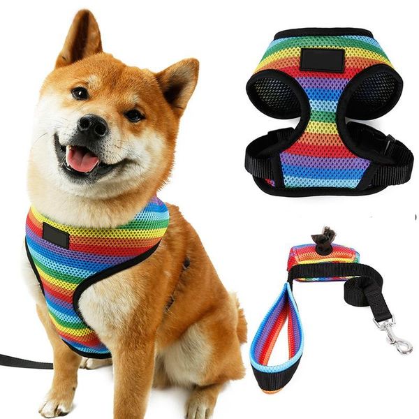 

dog collars & leashes fashion pet cat harness leash set breathable rainbow puppy vest for chihuahua yorkshire walking training supplies*/