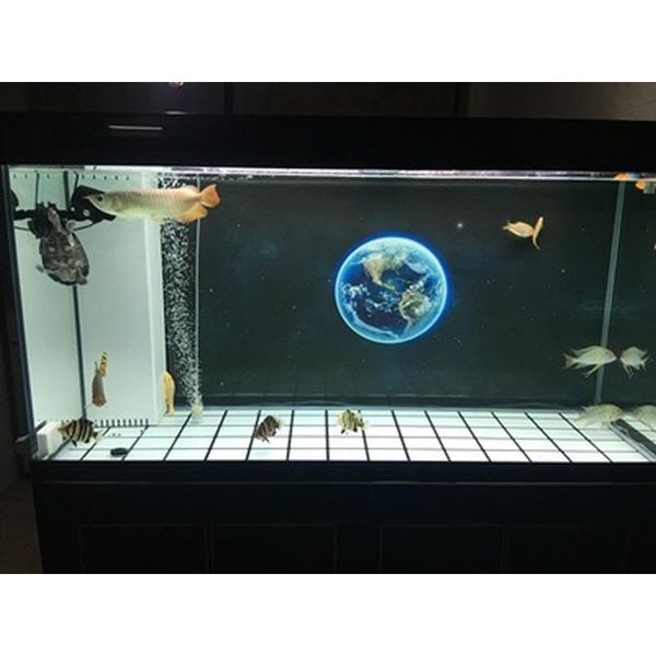 

decorations customized earth aquarium background poster hd fish tank landscape with glue on the surface