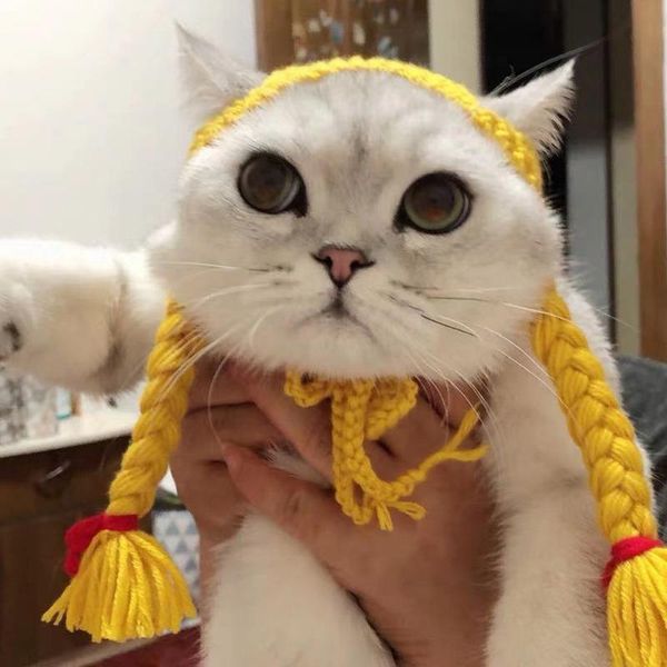 

cat costumes adjustable hat christmas party role-playing cute pet woven headdress soft wool breathable dog
