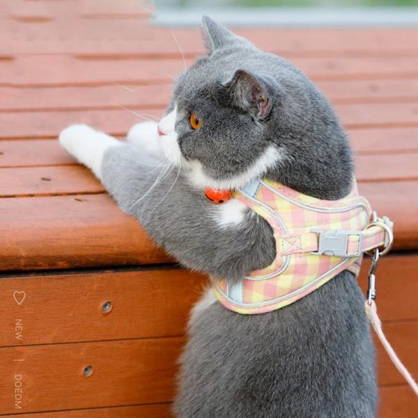 

cat collars & leads dog adjustable harness vest walking lead leash for puppy dogs collar cotton small medium pet