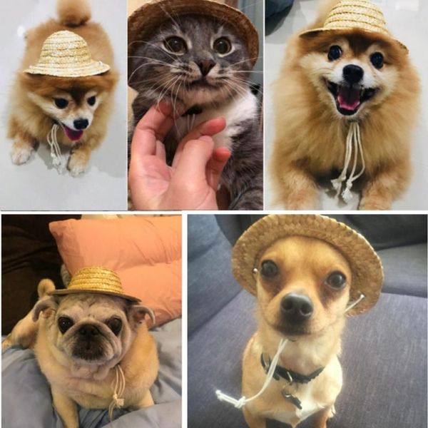 

dog apparel pet sombrero hat cat small outdoor accessories hiking products small/large dogs hats
