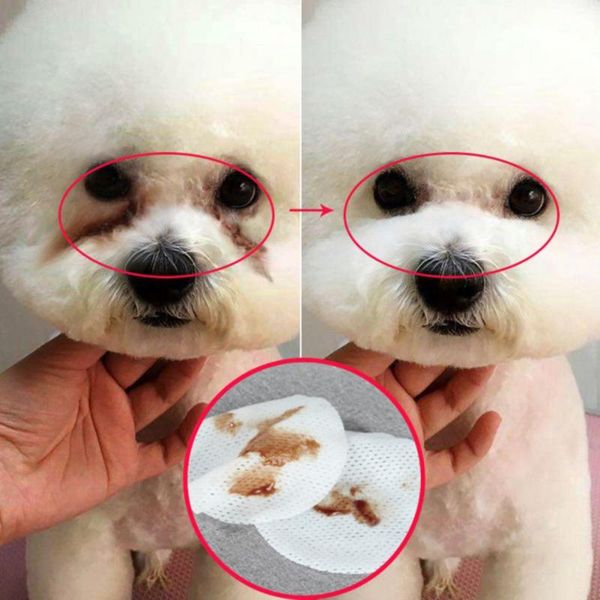 

dog apparel 100pcs/set pets dogs cats cleaning paper towels eyes wet wipes tear stain remover gentle non-intivating grooming supplies