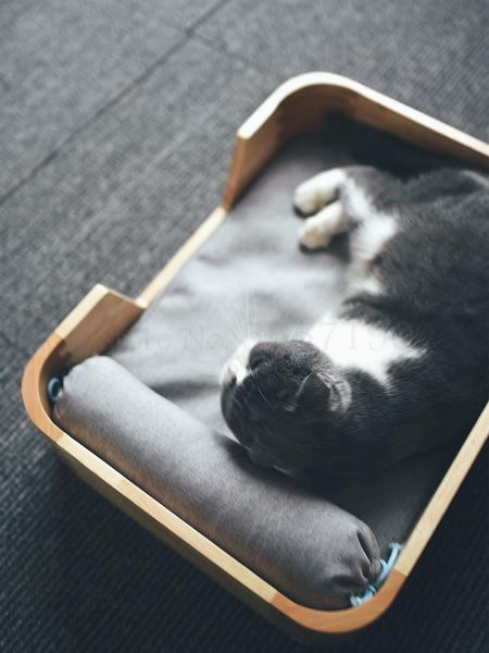 

cat toys wooden bed solid wood nest dog pet sun artifact special furniture