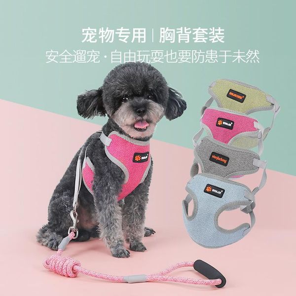 

pet leash, dog harness, small leash collars & leashes