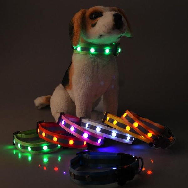 

pet supplies nylon led dog name collar night safety flashing glow electric collars for cat & leashes