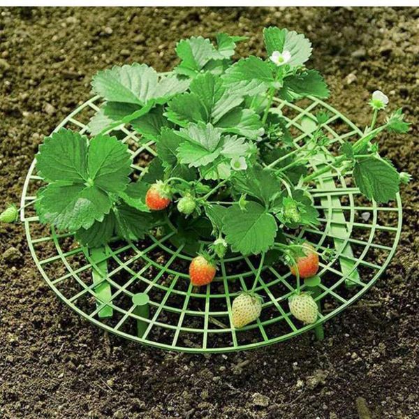 

strawberry planting frame plant climbing balcony potted vegetable gardening garden decorations