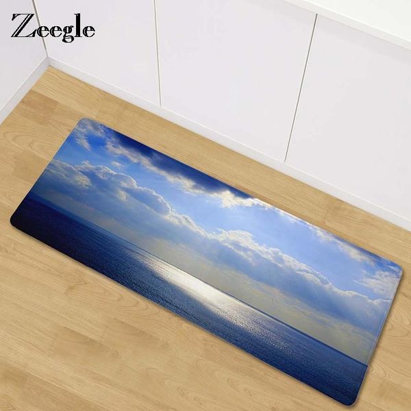 

carpets zeegle kitchen mat floor doormat wardrobe/balcony rug home entrance/hallway
