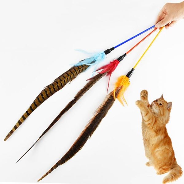 

cat interactive feather toy tease wand with long pheasant featherfor solving boredom and exercise chasing toys