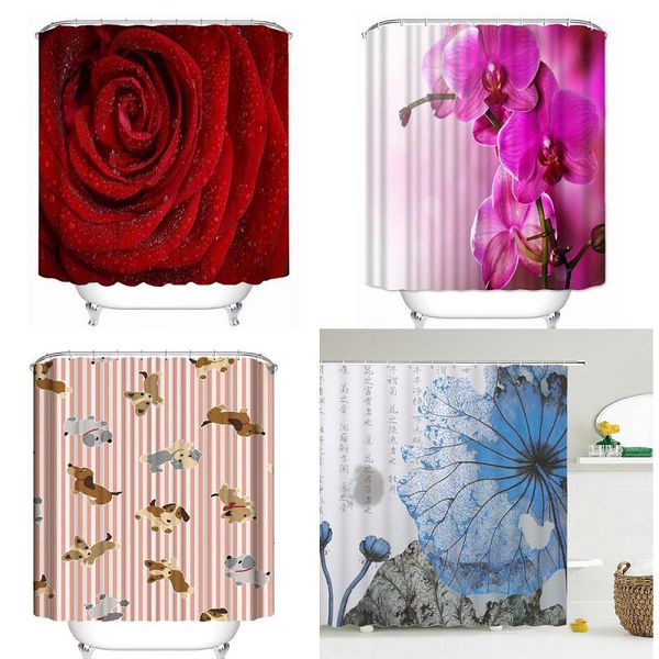 

shower curtains 6 beautiful patterns curtain bathroom for kitchen