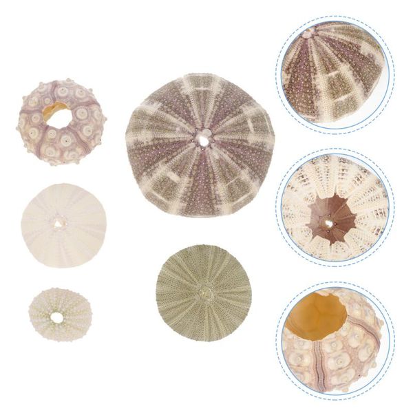 

novelty items 5pcs sea urchin diy craft ornaments crafts fish tank decors