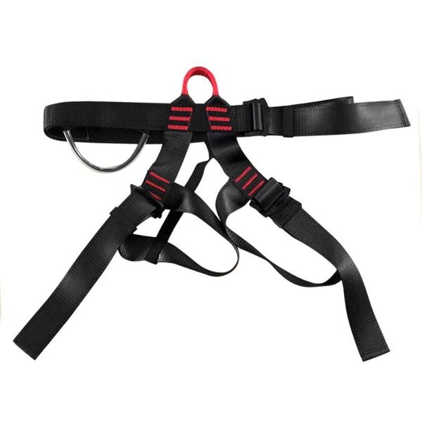 

cords, slings and webbing professional rock climbing downhill harness rappel rescue safety belt protecting tools equipment