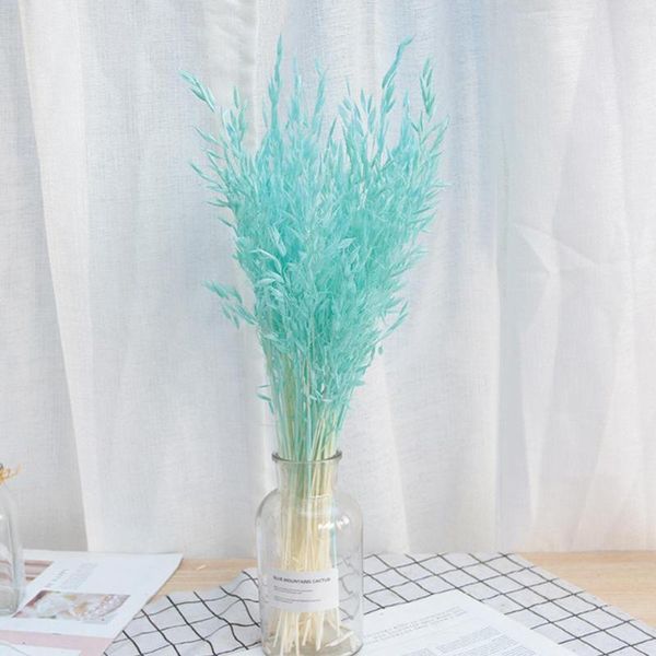 

decorative flowers & wreaths 50pcs natural plant colored oat dried flower hay