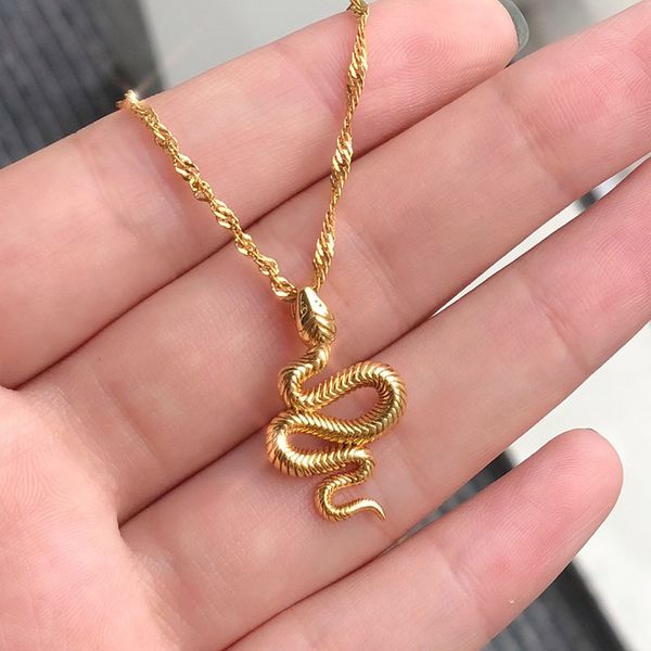

designer necklace luxury jewelry stainless steel gold chain snake pendant for women girls collier bijoux femme 2021 fashion boho birthday gi, Silver