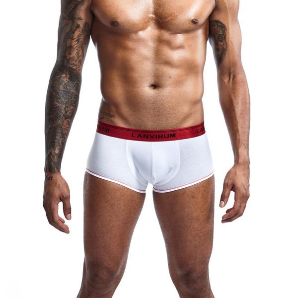 

underpants aiiou mens boxers underwear cotton boxer comfortable male panties homme boxershorts calzoncillos hombre solid cuecas, Black;white