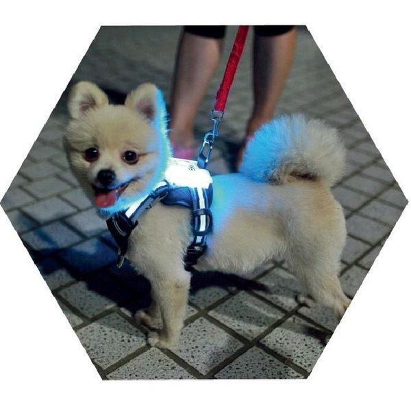 

dog collars & leashes protective 2022 cc no simon pull large led harness