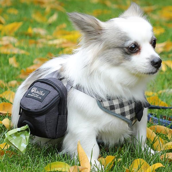 

pet waste bag dispenser for dog holder with zipper leash multifunctional walking storage travel & outdoors