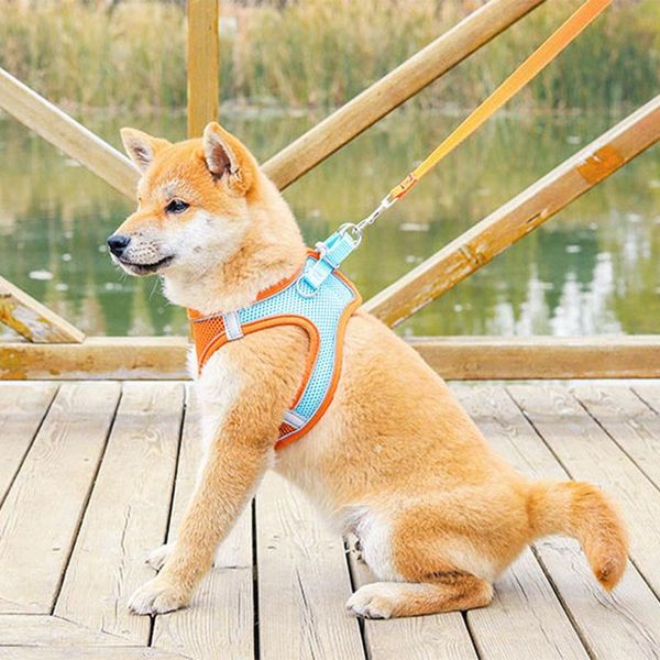 

dog collars & leashes pet cat and traction rope summer vest-style reflective breathable supplies