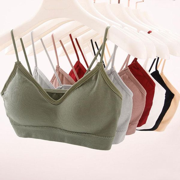 

bras 7colors v-neck ladies bra bottoming thread knitting spaghetti straps wireless underwear padded seamless, Red;black