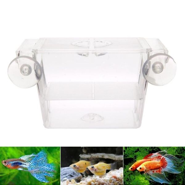 

aquariums aquarium acrylic fish tank breeding isolation box breeder hatchery holder accessories supplies