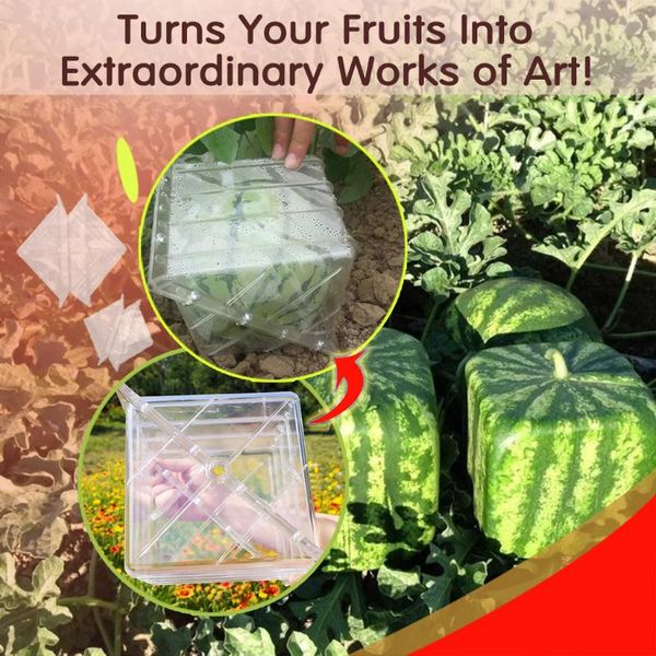 

planters & pots 15*15cm clear plastic square shaped watermelon growth mold for garden planting nursery fruit molding fixed mould