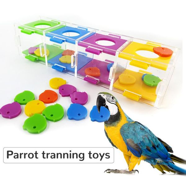 

other bird supplies pet parrot puzzle toy parrots interactive training toys intelligence development educational for birds