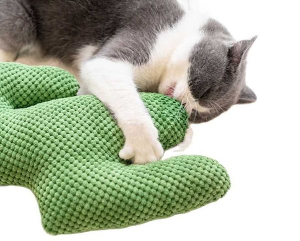 

plush cat toy teeth grinding catnip kitten playing pillow thumb bite mint for cats funny cactus interactive toys