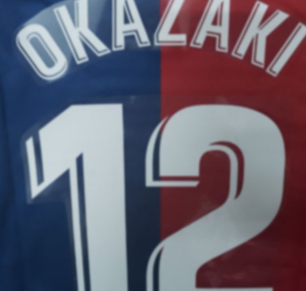 

rafa mir/okazaki , any custom name/number available together with patches print
