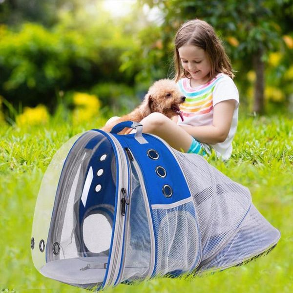 Capas de assento de carro de cachorro portador de gato duplo espaço expansível de malha clara de malha de petpack de mochila viagens