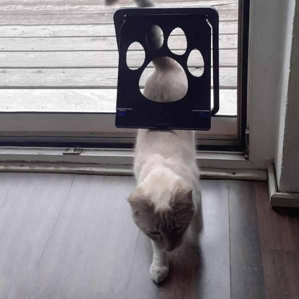 

cat carriers,crates & houses pet supplies dog print door anti-bite small screen