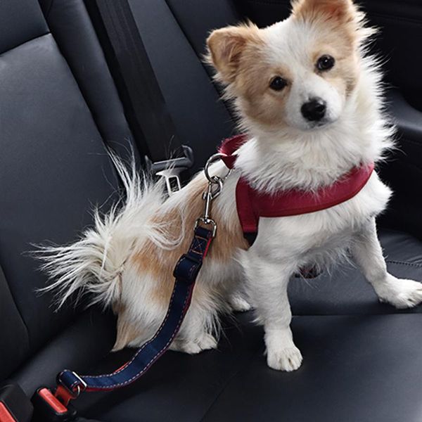 

dog collars & leashes nylon pet cat adjustable car safety belt supplies for small medium travel clip lever traction collar products