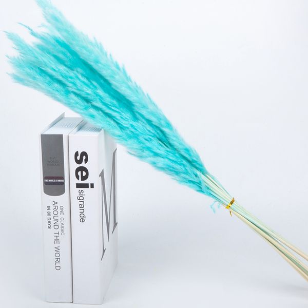 

15pcs dried reed flower arrangementnatural pampas grass&phragmites communis plants bouquet for modern home decoration ceremon