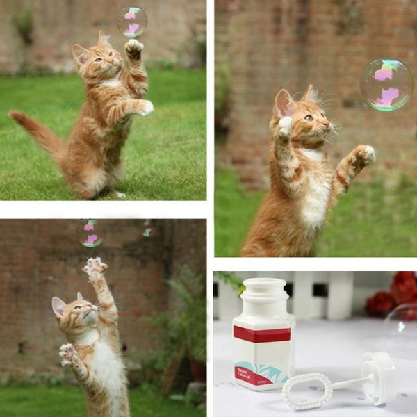 

cat toys outdoor pet natural catnip bubbles kittens interactive bouncy 17.7ml