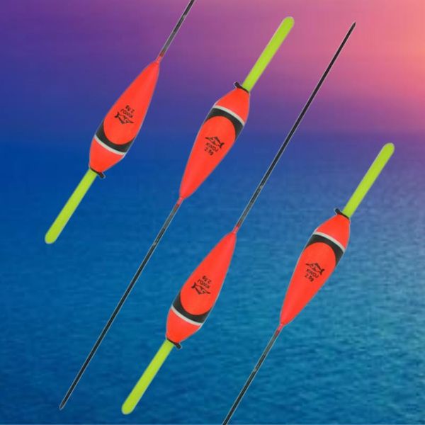 

fishing float vertical buoy 10pcs/set floats accessory fluctuate carp and bobbers set accessories