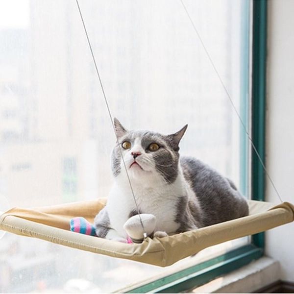 

cat beds & furniture window hammock hanging nest bed suction cup all seasons universal easily bear 2 cats