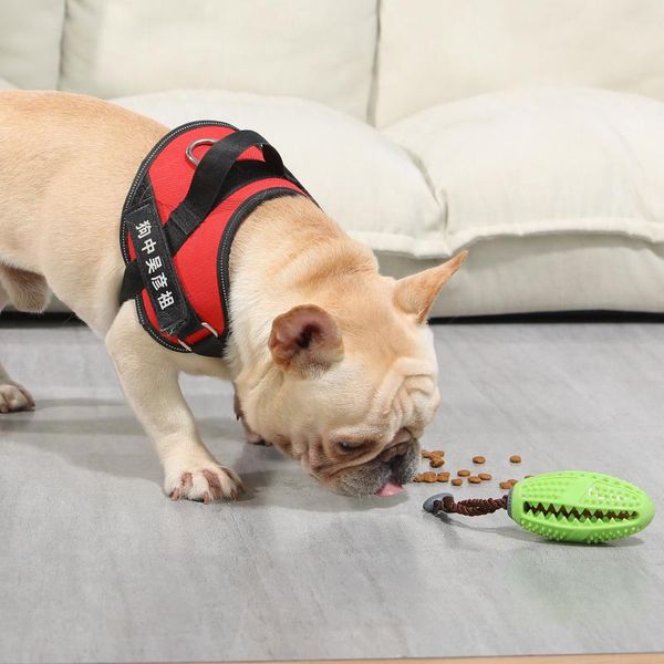 

spilled toothbrush decompression elastic rubber ball pet dog toy molar bite resistant chewing small animal supplies