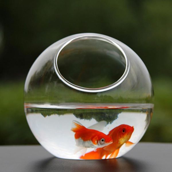 

novelty items diameter=20cm super big size side open glass terrarium vase home decoration creative aquarium fishbowl friend gift