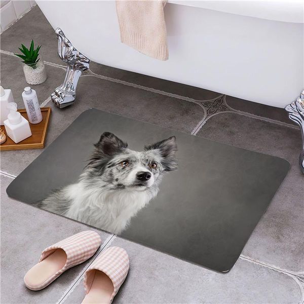 

carpets pretty dog entrance door floor mat non-slip foot pad home welcome carpet for hallway bath kitchen doormat
