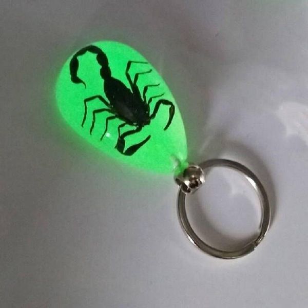 

keychains car safety keychain accessories key ring chain luminous scorpion pendant product accessory decoration keyring, Silver