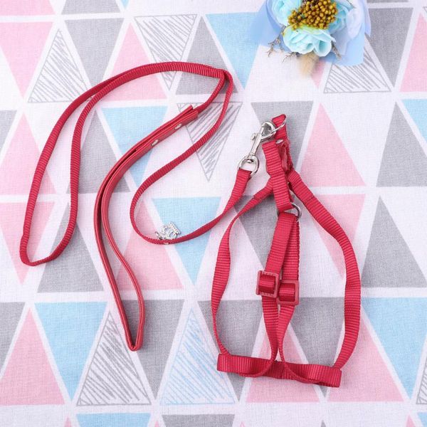 

other bird supplies adjustable pet harness parrot leash for outdoor walking size (red)