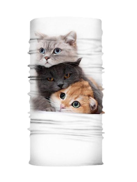 

scarves easy clean windproof magic scarf sports outdoor face cover men cloth bandana three kittens printed warm style, Blue;gray