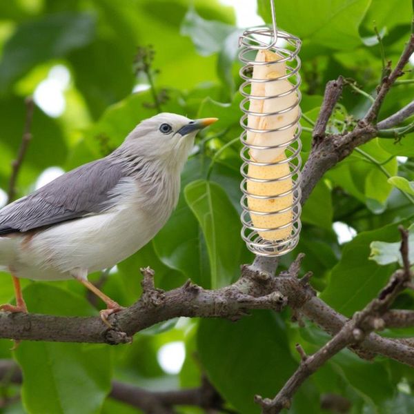 

other bird supplies 3pc stainless steel fruit fork parrot forager feeder