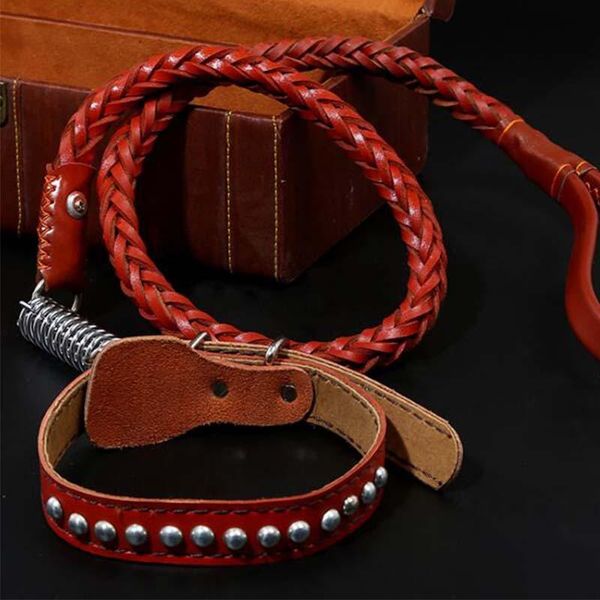 

dog collars & leashes large leather bold collar big leash huskies