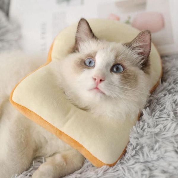 

pet elizabeth circle cotton collar wound healing anti bite scratching cat collars & leads