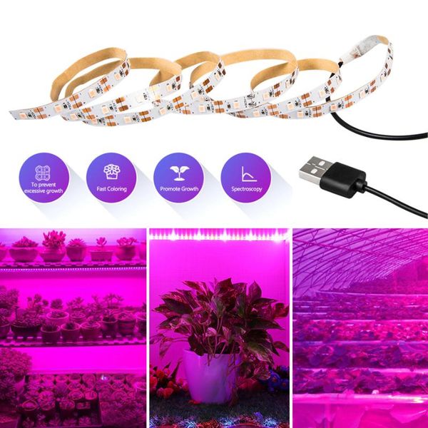 

grow lights 0.5m - 3m led light full spectrum 5v usb tape 2835smd phyto lamp for plants growing greenhouse tent
